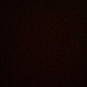 Meet your Posher, Ariana